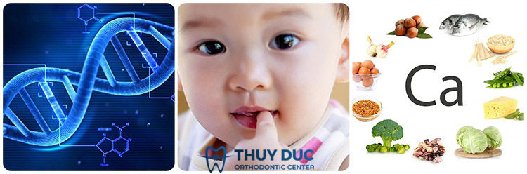 Nguyên nhân dẫn tới răng cửa mọc lệch 1 Nguyên nhân dẫn tới răng cửa mọc lệch 1