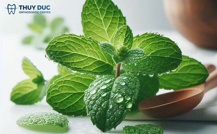 Sử dụng lá bạc hà 1