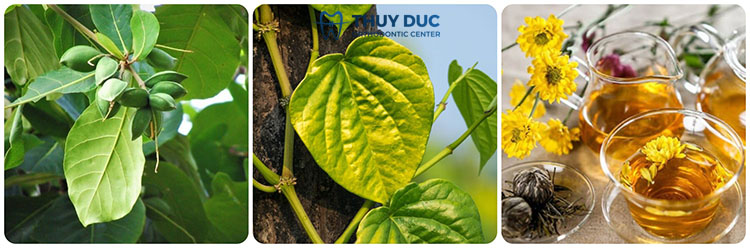 Một số mẹo trị sâu kẽ răng tại nhà 1 Một số mẹo trị sâu kẽ răng tại nhà 1