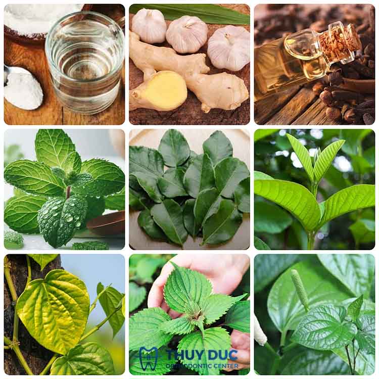 Chữa răng sâu nhẹ tại nhà bằng mẹo dân gian 1 Chữa răng sâu nhẹ tại nhà bằng mẹo dân gian 1