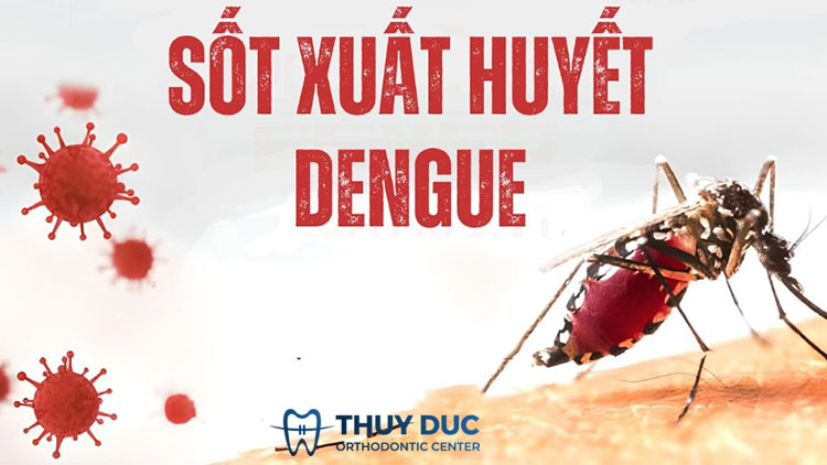 Bị sốt xuất huyết 1 Bị sốt xuất huyết 1