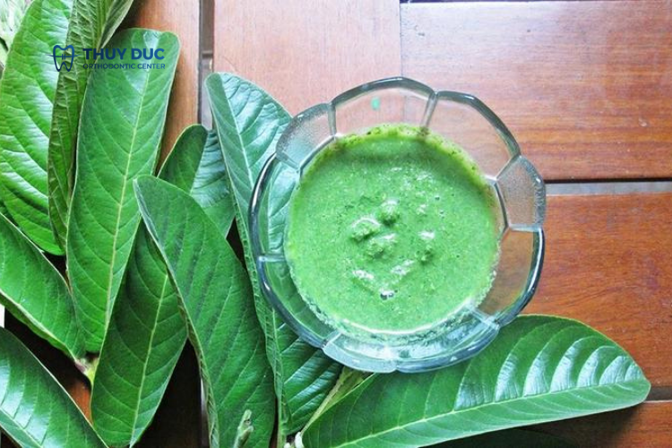 Các cách chữa sâu răng bằng lá ổi 1 Các cách chữa sâu răng bằng lá ổi 1