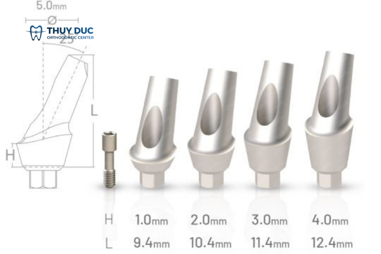 Các loại Abutment Implant phổ biến hiện nay 2 Các loại Abutment Implant phổ biến hiện nay 2